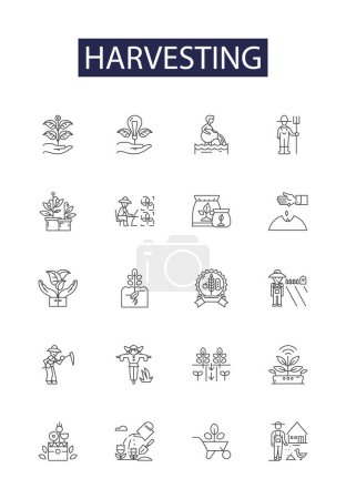 Illustration for Harvesting line vector icons and signs. Reap, Crop, Collect, Pluck, Winnow, Pick, Cull, Harvesting vector outline illustration set - Royalty Free Image