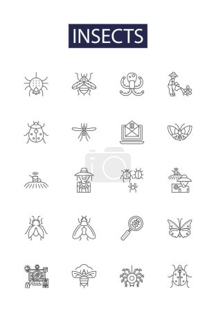 Téléchargez les illustrations : Insectes lignes vectorielles icônes et signes. Mouches, fourmis, guêpes, papillons de nuit, abeilles, araignées, moustiques, rachitisme - en licence libre de droit