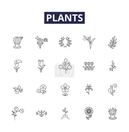 Illustration for Plants line vector icons and signs. Photosynthesis, Foliage, Botany, Seed, Root, Abundance, Shoot, Vegetation vector outline illustration set - Royalty Free Image