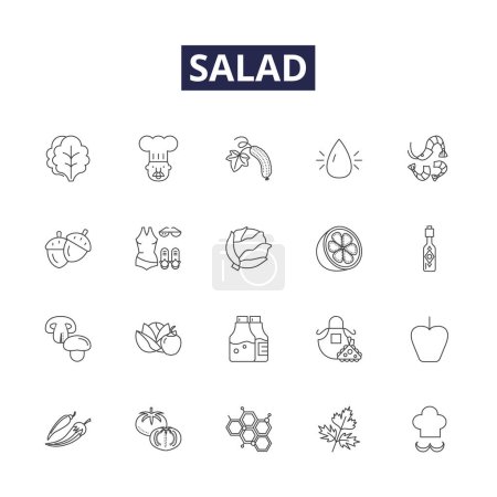 Téléchargez les illustrations : Icônes vectorielles de ligne de salade et signes. épinards, chou frisé, tomates, poivrons, oignons, carottes, concombres, maïs illustration vectorielle ensemble - en licence libre de droit