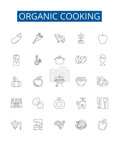 Illustration for Organic cooking line icons signs set. Design collection of Organic, Cooking, Cuisine, Dining, Healthy, Vegan, Plant Based, Biodynamic outline vector concept illustrations - Royalty Free Image