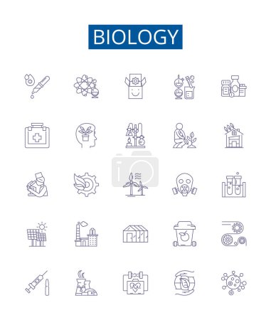 Illustration for Biology line icons signs set. Design collection of Organism, Cell, Genetics, Evolution, Ecology, Biochemistry, Microbiology, Photosynthesis outline vector concept illustrations - Royalty Free Image