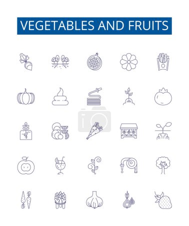 Ilustración de Conjunto de letreros de iconos de línea de verduras y frutas. Diseño de la colección de zanahorias, tomates, manzanas, col, naranjas, guisantes, patatas, plátanos esbozar ilustraciones concepto de vector - Imagen libre de derechos