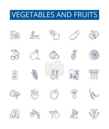 Illustration for Vegetables and fruits line icons signs set. Design collection of Carrots, Tomatoes, Apples, Cabbage, Oranges, Peas, Potatoes, Bananas outline vector concept illustrations - Royalty Free Image