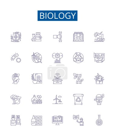 Illustration for Biology line icons signs set. Design collection of Organism, Cell, Genetics, Evolution, Ecology, Biochemistry, Microbiology, Photosynthesis outline vector concept illustrations - Royalty Free Image