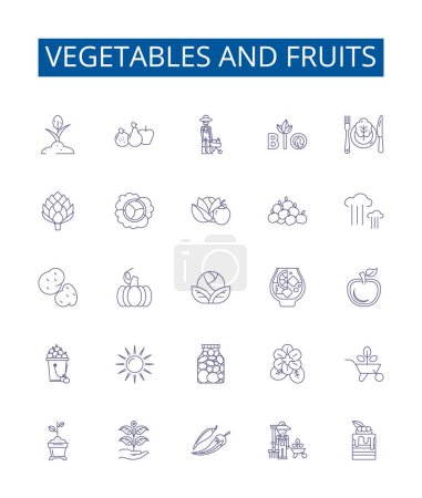 Ilustración de Conjunto de letreros de iconos de línea de verduras y frutas. Diseño de la colección de zanahorias, tomates, manzanas, col, naranjas, guisantes, patatas, plátanos esbozar ilustraciones concepto de vector - Imagen libre de derechos