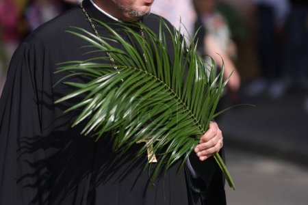 Romanian Orthodox priests holding palm leaves walk on the streets of Bucharest during a Palm Sunday pilgrimage procession.
