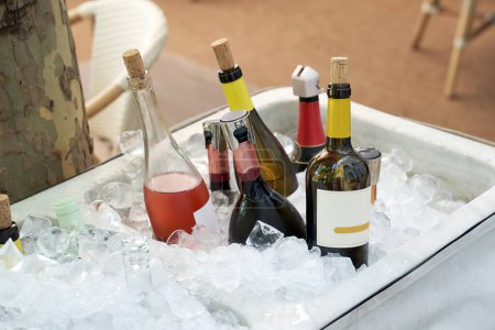 Téléchargez les photos : Différentes bouteilles de vin placées dans un seau à glace sur une terrasse d'été - en image libre de droit