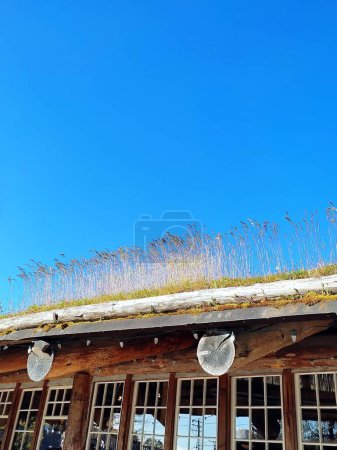 Téléchargez les photos : Toit couvert d'herbe contre un ciel bleu - en image libre de droit
