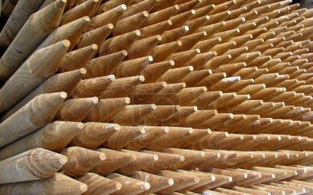 Téléchargez les photos : Pile de poteaux en bois pointus de clôture - en image libre de droit