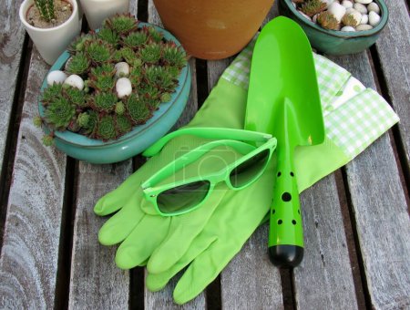 Photo for Trowel, sunglasses and rubber gardening gloves. Plants and garden accessories. - Royalty Free Image
