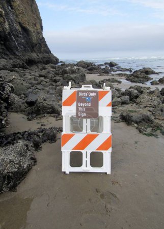 Photo for Birds Only Beyond This Sign warning near Haystack Rock in the Pacific Ocean. Cannon Beach, Oregon, United States - Royalty Free Image