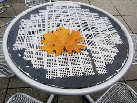 Téléchargez les photos : Gros plan de la grande feuille d'érable jaune d'automne sur fond de table ronde en métal - en image libre de droit