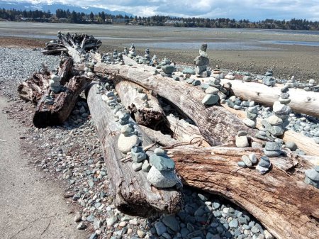 Piedras apiladas apiladas sobre troncos de madera marrón. Parksville Beach, Vancouver Island, BC, Canadá
