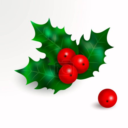 Téléchargez les illustrations : 3D vecteur réaliste plante houx ou gui avec des baies rouges et des feuilles vertes. Symbole de célébration de Noël et du Nouvel An. Illustration isolée sur fond blanc - en licence libre de droit