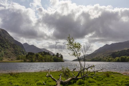 Téléchargez les photos : Loch bouclier regardant à l'ouest de glenfinnan - en image libre de droit