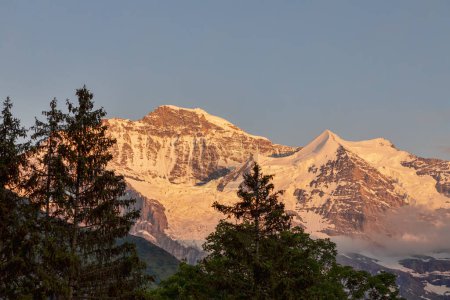 Photo for The summit of the jungfrau and the silberhorn above wengen switzerland at sunset - Royalty Free Image