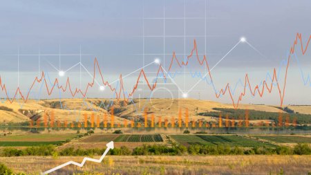 Photo for Land value field, house building, growth graph of trade market price. Investor to sale, buy, agriculture farm, growth graph - Royalty Free Image