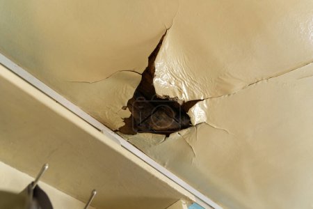 Téléchargez les photos : Ancien plafond dans une maison en bois, endommagé un énorme trou dans le toit de fuite d'eau de pluie. - en image libre de droit