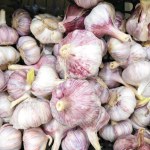 Garlic on the counter of a grocery hypermarket, sale of fresh vegetables