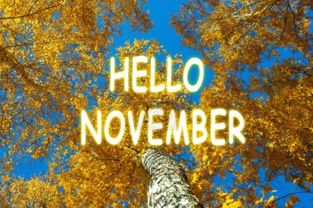 Autumn countryside landscape. Forest in the background. Nature background with lettering Hello November.