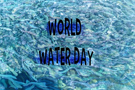 Foto de Texto del Día Mundial del Agua superpuesto, enfatizando la importancia de la conservación del agua. - Imagen libre de derechos