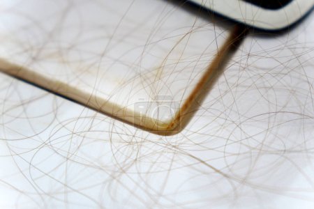 Hair clump from the shower drain. Cleaning or hair loss concept.