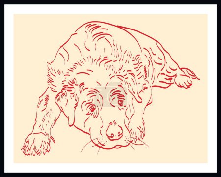 Vector illustration of a sketch of lying dog. 
