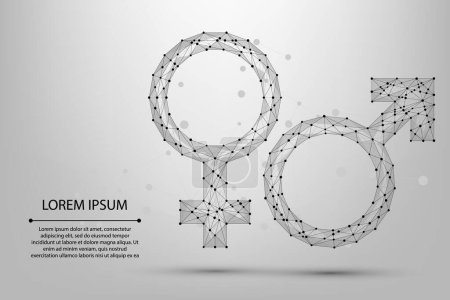 Illustration for Abstract mesh line and point male and female symbols. Low poly wireframe sex concept. Polygonal vector futuristic illustration - Royalty Free Image