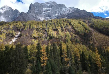 Téléchargez les photos : L'automne dans la montagne Siguniang à l'ouest de la capitale Chengdu dans le pays Xiaojin, Sichuan, Chine - en image libre de droit