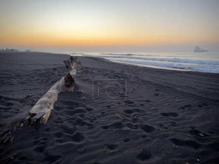 Téléchargez les photos : Bois flotté à l'aube sur la plage de sable noir de Port de San Jose au Guatemala - en image libre de droit