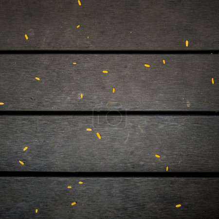 Photo for Dark wooden decking background texture with bright yellow leaves - Royalty Free Image