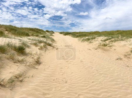 Téléchargez les photos : Paysage de dunes de sable et de plantes sous un ciel bleu à la plage en Australie du Sud - en image libre de droit