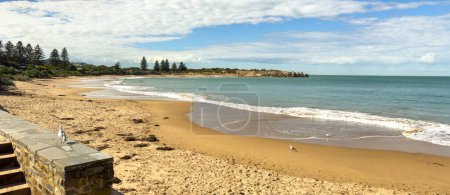 Téléchargez les photos : Mouettes sur la plage de Horseshoe Bay, Port Elliot, Australie du Sud - en image libre de droit