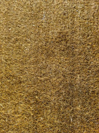 Foto de Una alfombra de puerta de fibra natural o textura de fondo de alfombra de piso - Imagen libre de derechos