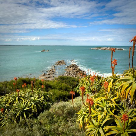 Vues autour de Freeman Lookout à Horseshoe Bay à Port Elliot sur la péninsule de Fleurieu, Australie-Méridionale