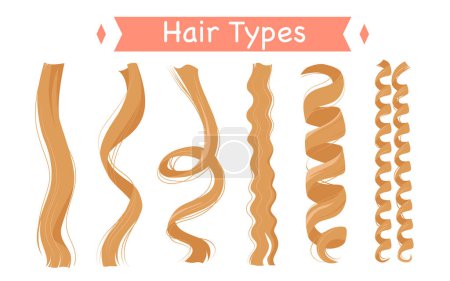 Curly hair types, infographic classification set vector illustration. Cartoon isolated group of light strands with different curls and structure, straight and frizzy, wavy and afro kinky hair