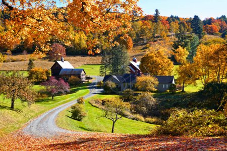 Téléchargez les photos : Feuilles d'automne tombées vibrantes avec grange rustique en bois dans la campagne près de Woodstock, Vermont, États-Unis - en image libre de droit