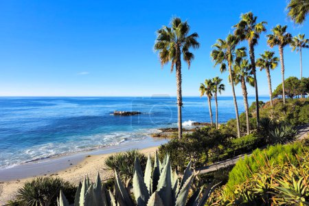 Laguna Beach ocean shoreline with palm trees at Heisler Park, California, USA