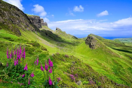 Île de Skye, Écosse. Vue sur le paysage montagneux verdoyant des hautes terres du Quiraing avec des fleurs de cloche pourpre.