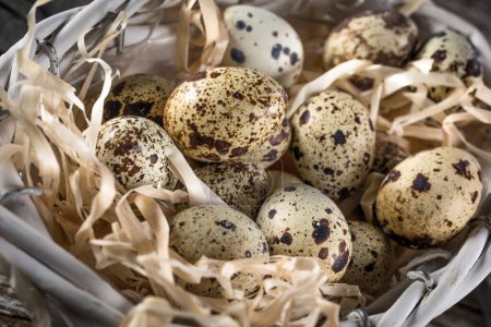 Photo for Quail eggs on a wooden table, a symbol of the Easter season. - Royalty Free Image