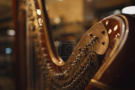 Photo for Old wooden varnished harp. musical instrument in a restaurant - Royalty Free Image