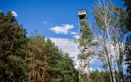 Téléchargez les photos : Pompier dans une tour d'observation forestière - en image libre de droit