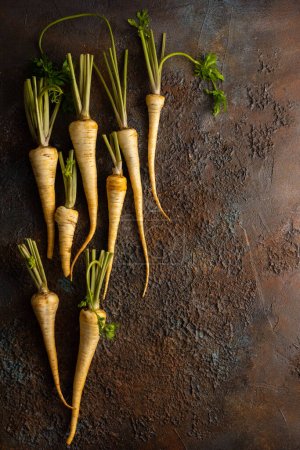 Photo for Organic parsnips on textured background. Autumn harvest of root vegetables. Concept healthy food. - Royalty Free Image