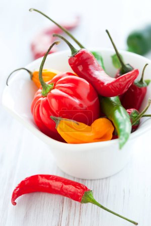 Téléchargez les photos : Mélange de piments forts colorés frais - en image libre de droit