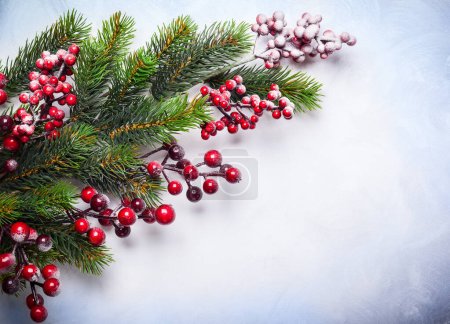 Téléchargez les photos : Décoration de Noël fond : branches de sapin et baies de houx sur fond clair - en image libre de droit