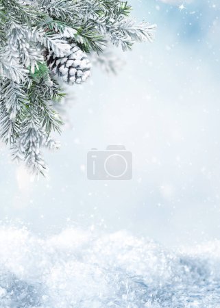 Photo for Beautiful Winter Landscape with snovy Fir Tree Branches and Cones in Snowy Forest. Christmas and New Year greeting card. Winter banner with copy space. - Royalty Free Image