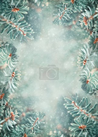 Téléchargez les photos : Belles branches de sapin bleu dans la forêt enneigée. Concept de Noël et d'hiver. Concentration douce. - en image libre de droit