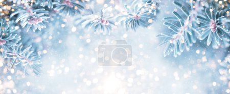 Téléchargez les photos : Belles branches de sapin bleu dans la forêt enneigée avec bokeh festive. Concept de Noël et d'hiver. Concentrez-vous. bannière - en image libre de droit