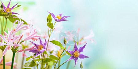 Photo for Beautiful light purple clematis and pink nerine flowers in floral garden. Closeup. - Royalty Free Image